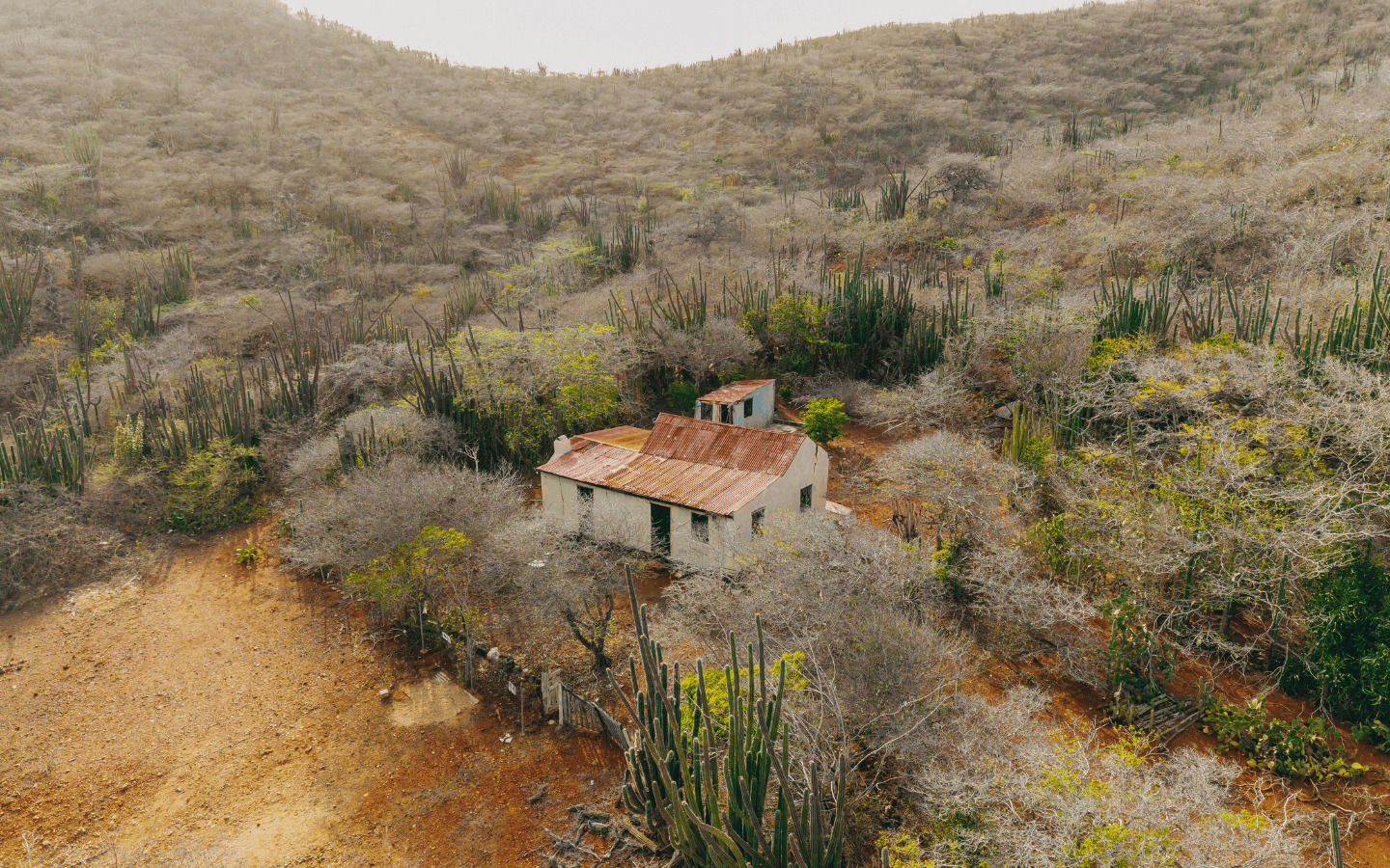 Aerial view of the 1900s traditional home with roof on the 400 m² Rooi Taki 9 land in Savaneta, Aruba