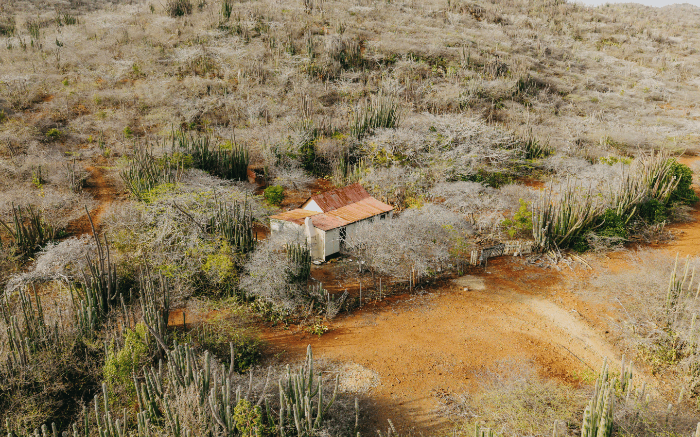 Aerial of the original house surrounded by cactus and native vegetation on the Rooi Taki parcel
