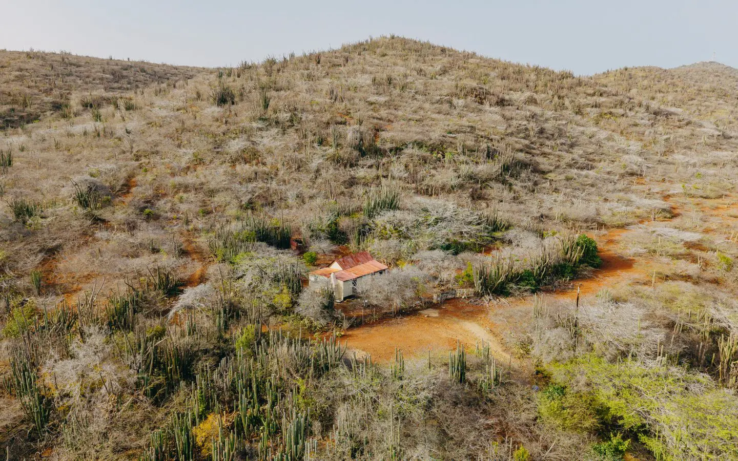 The property sits at the base of a cactus-covered hill in the quiet Rooi Taki area of Savaneta.