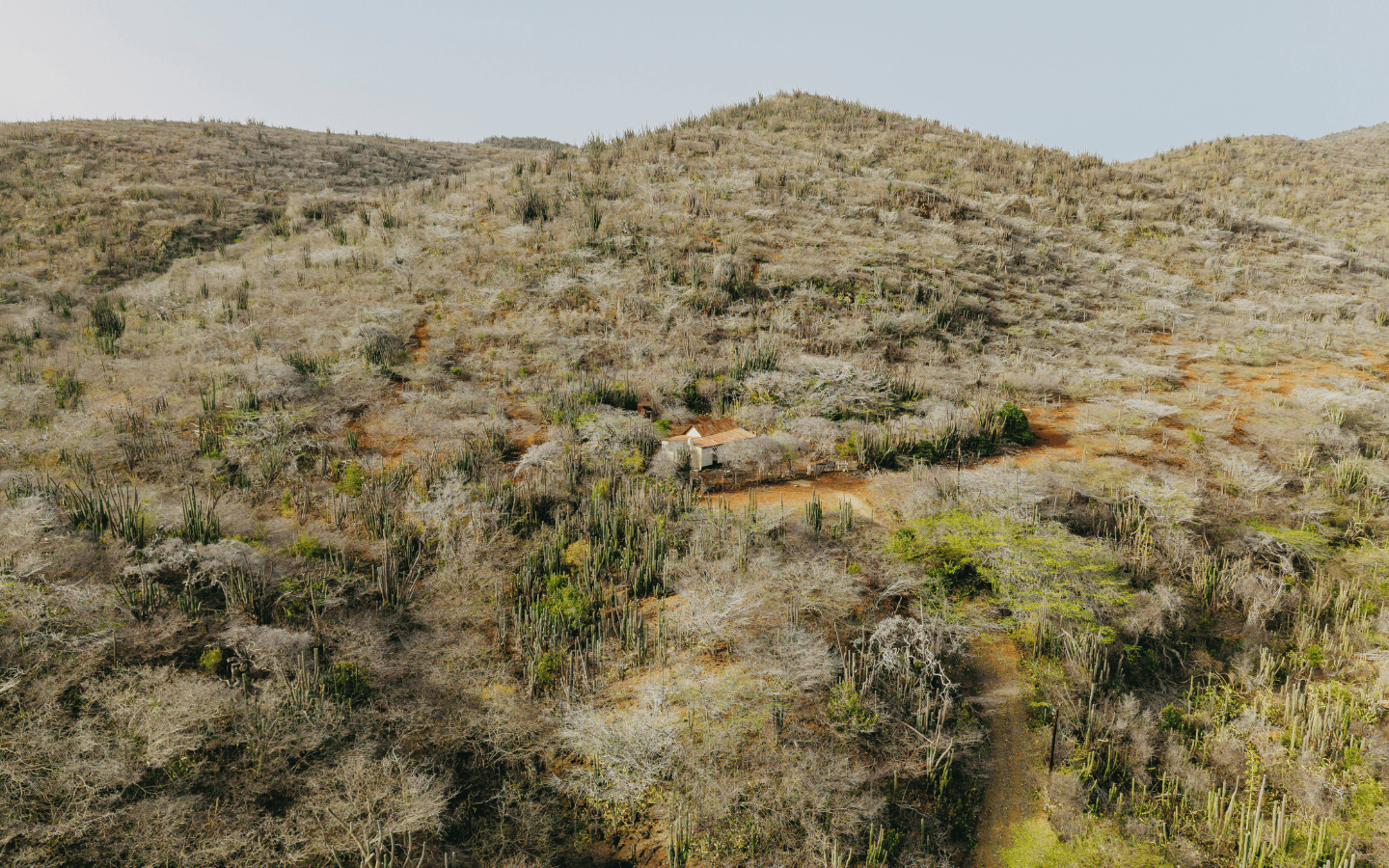 Wide aerial showing the Traditional home in Aruba's natural hillside terrain