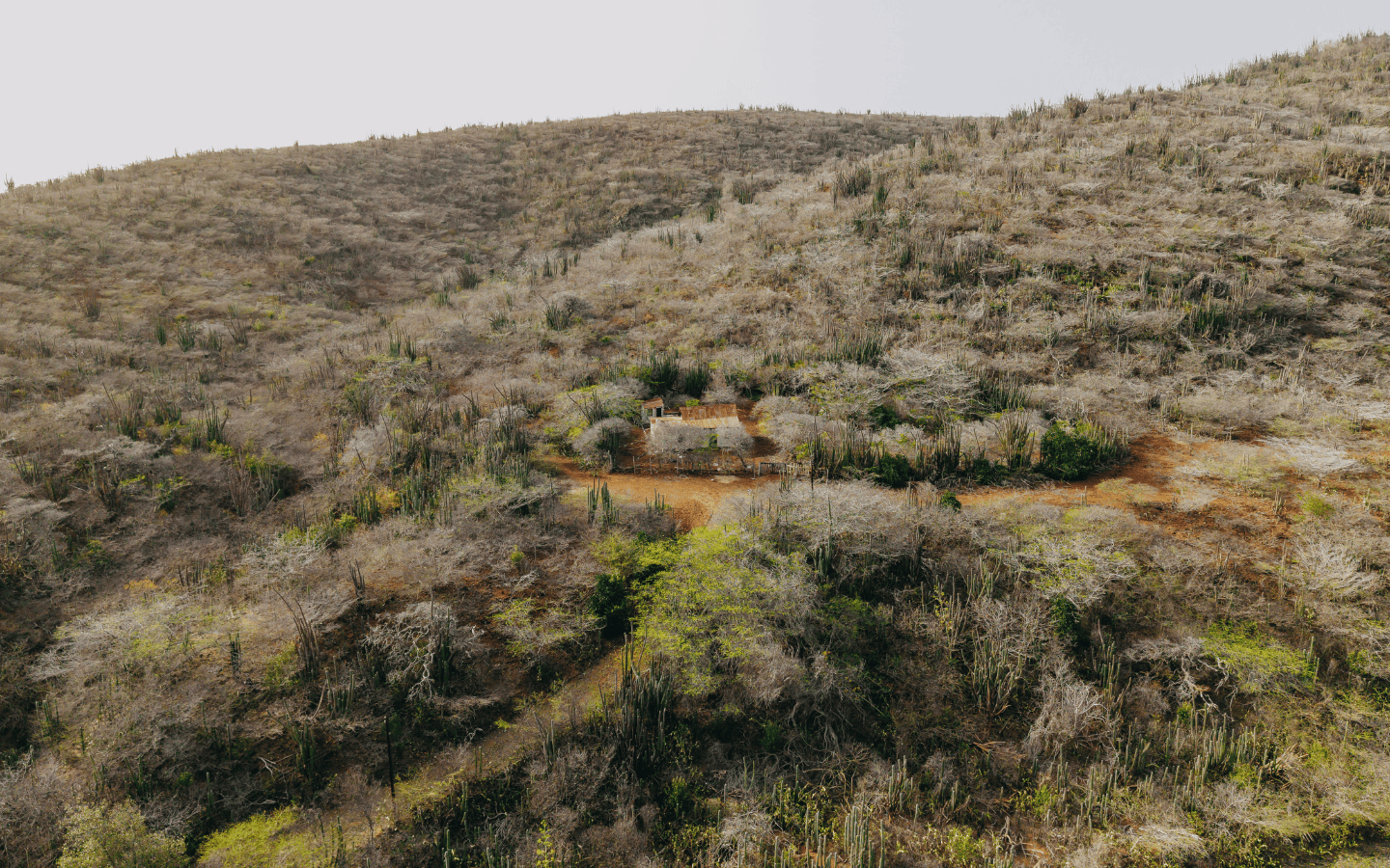 Aerial view of the 1900s home with rusted roof on the 400 m² Rooi Taki 9 land in Savaneta, Aruba