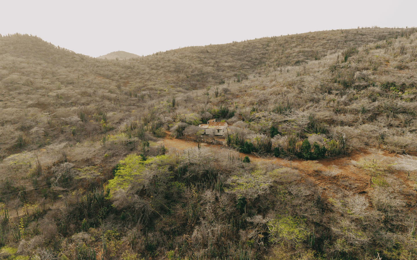 Rolling hills and native vegetation surrounding the 400 m² parcel at Rooi Taki 9, Savaneta