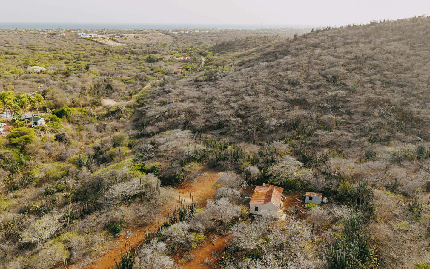 Aerial of the home and outbuilding with the surrounding neighborhood and coastline in view