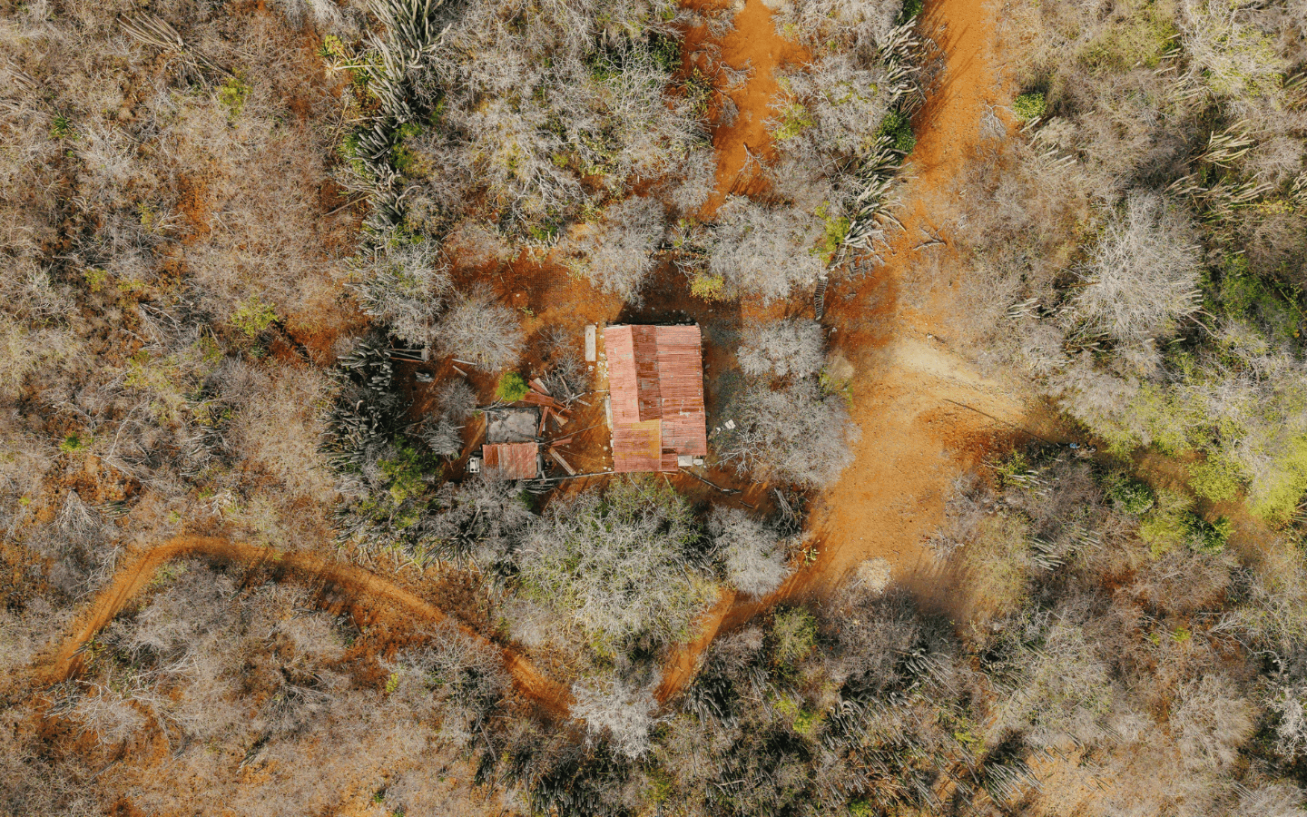 Top-down view of the structure and the tracks crossing the 400 m² Rooi Taki parcel