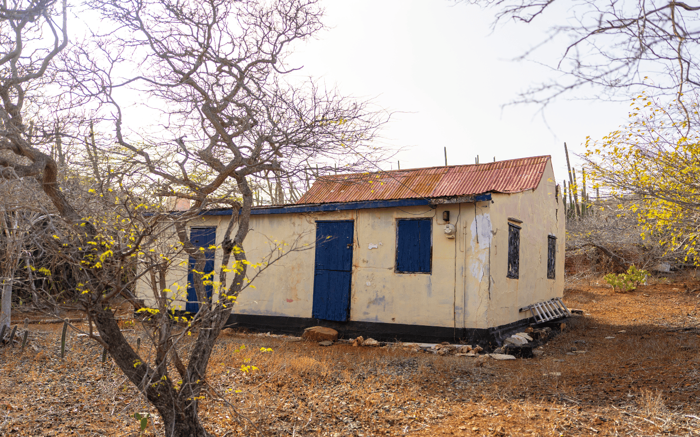 Traditional Aruban home with yellow walls, blue shutters and a roof dating to the early 1900s