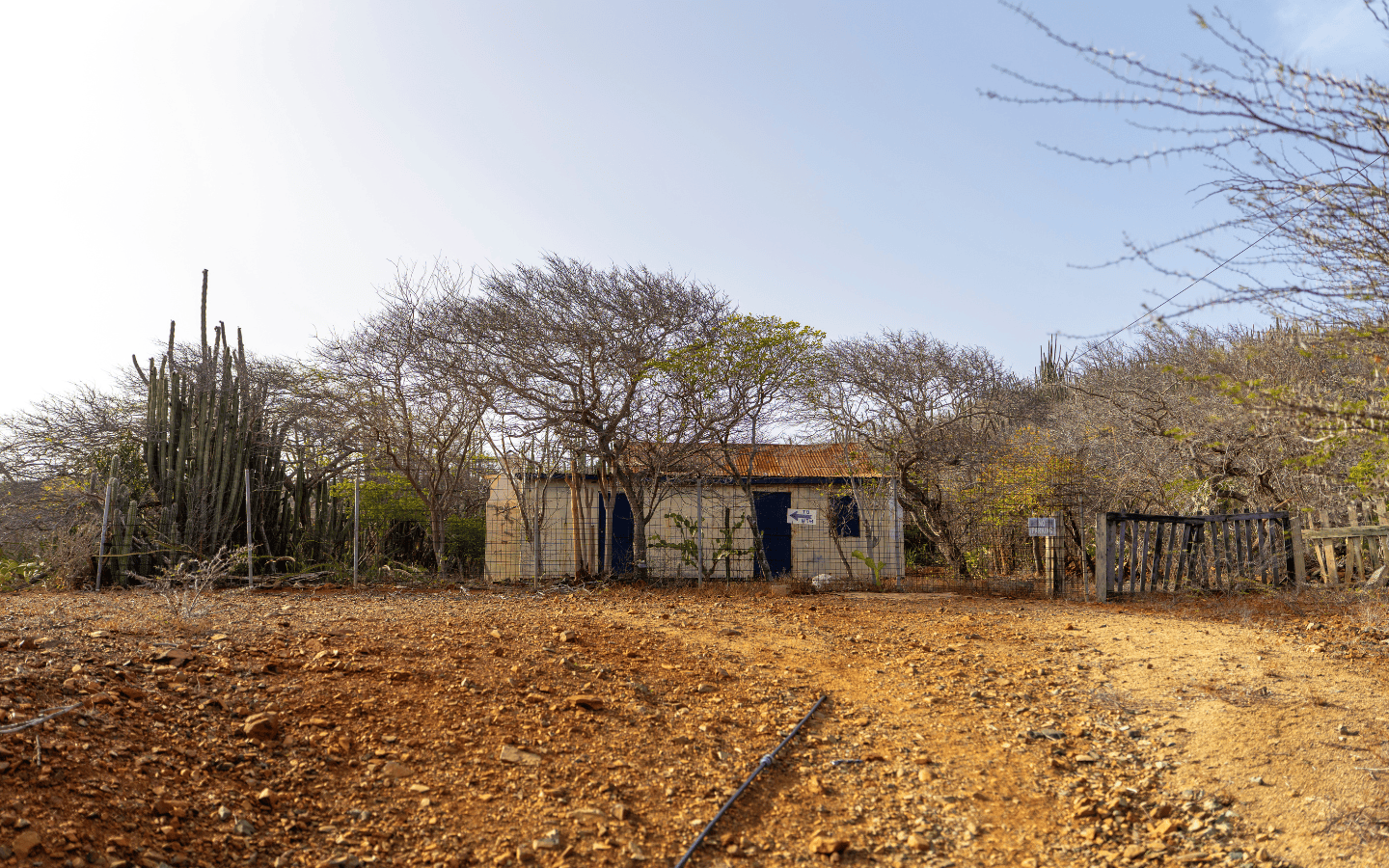 Ground-level view of the fenced entrance and gate to the Rooi Taki 9 property in Savaneta